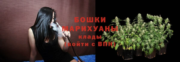 хмурый Касимов